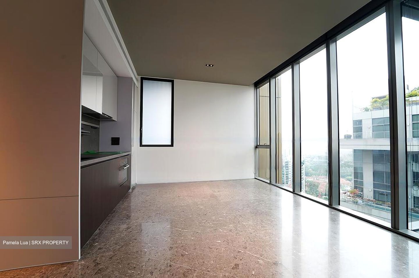 Cuscaden Reserve (D10), Condominium #593558271